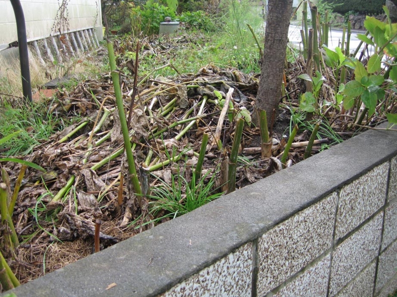 f:id:atarou:20111004065014j:image