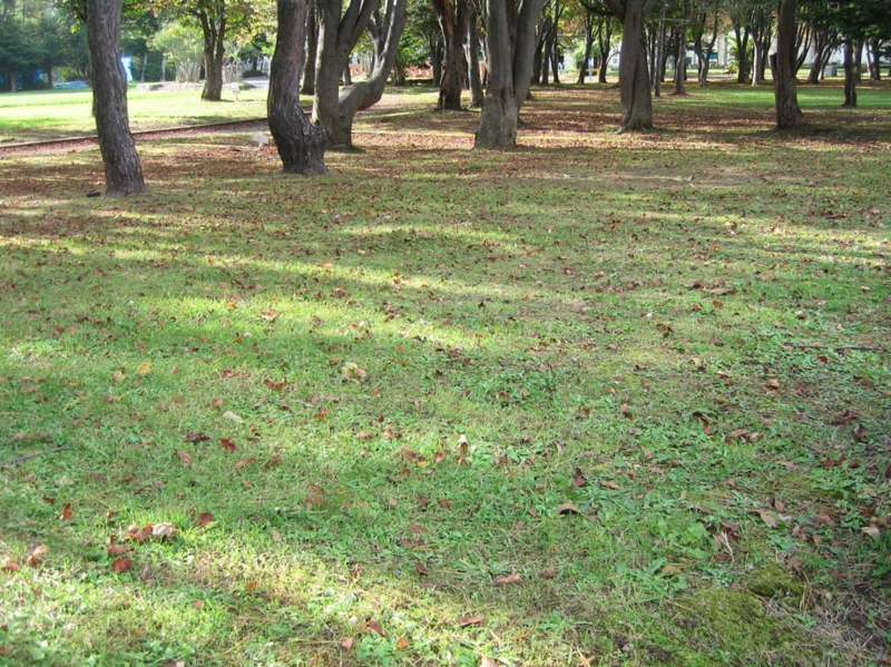 f:id:atarou:20111005055221j:image