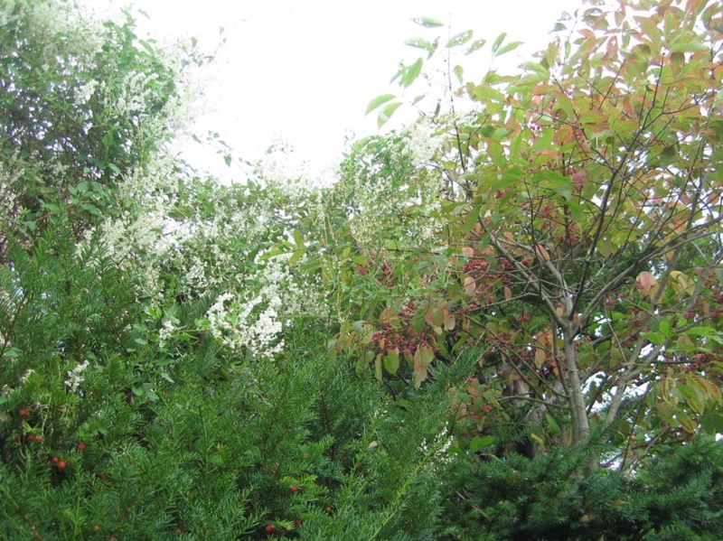 f:id:atarou:20111005060634j:image