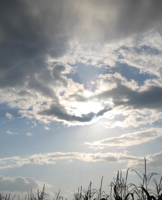 f:id:atarou:20111005062341j:image