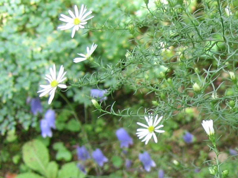 f:id:atarou:20111005191419j:image
