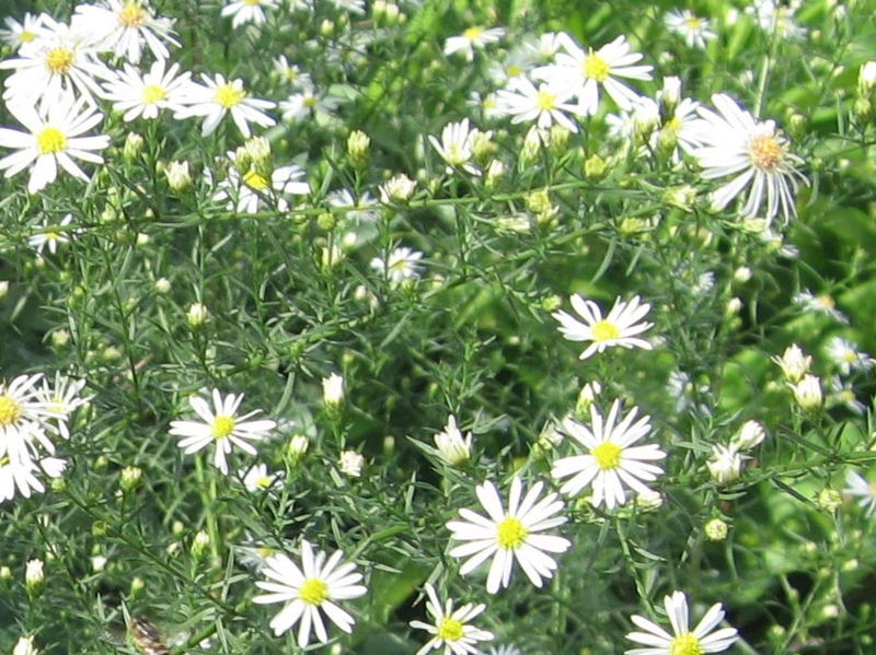 f:id:atarou:20111005191422j:image