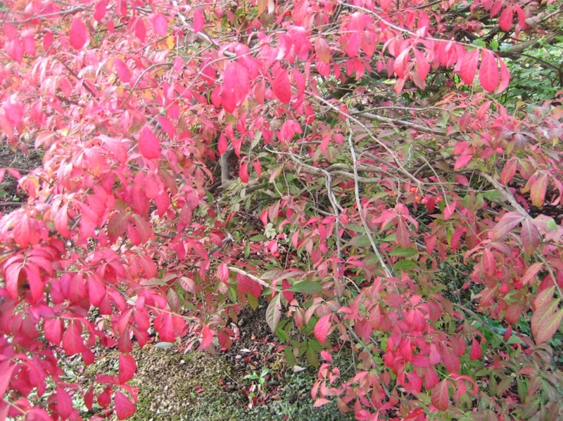 f:id:atarou:20111006062631j:image