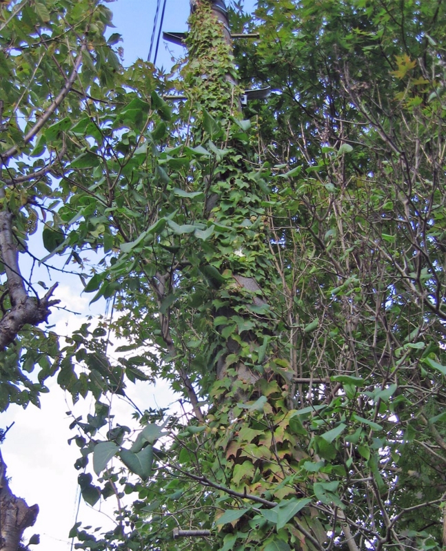 f:id:atarou:20111006201628j:image