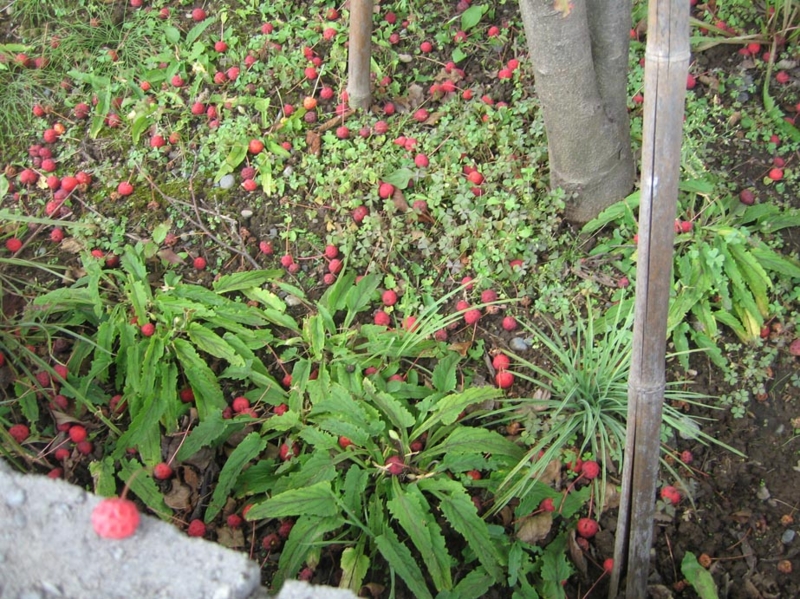 f:id:atarou:20111006204522j:image