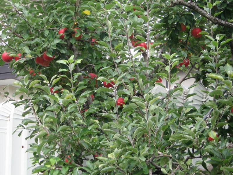 f:id:atarou:20111006205744j:image