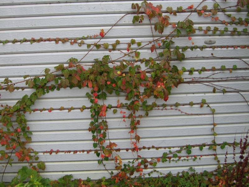 f:id:atarou:20111006210235j:image