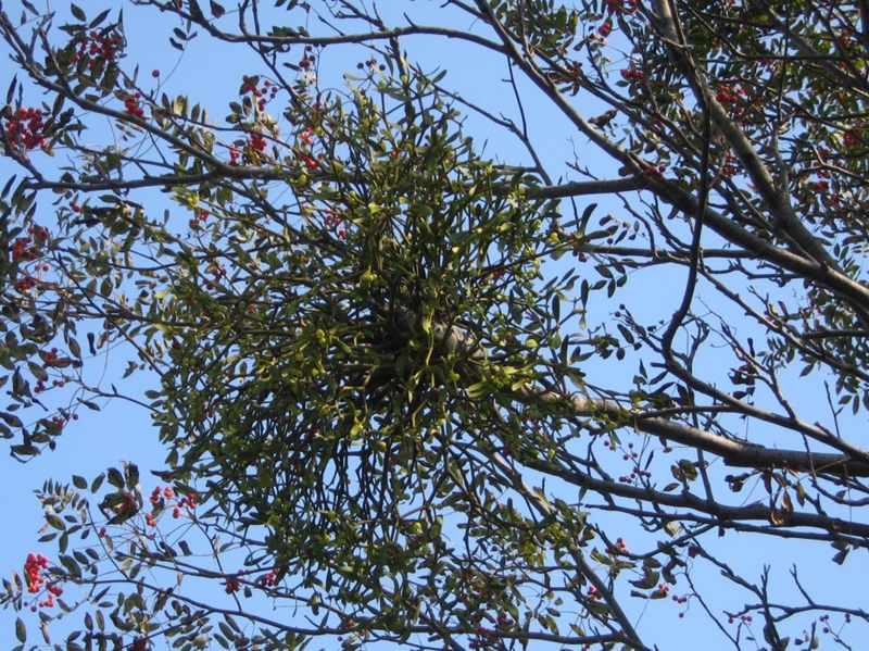 f:id:atarou:20111010061403j:image