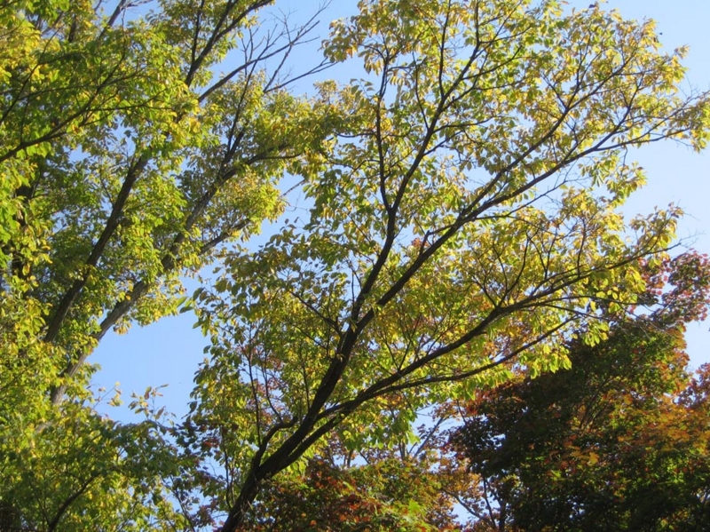 f:id:atarou:20111010062726j:image