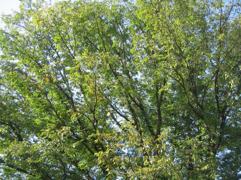 f:id:atarou:20111010063652j:image