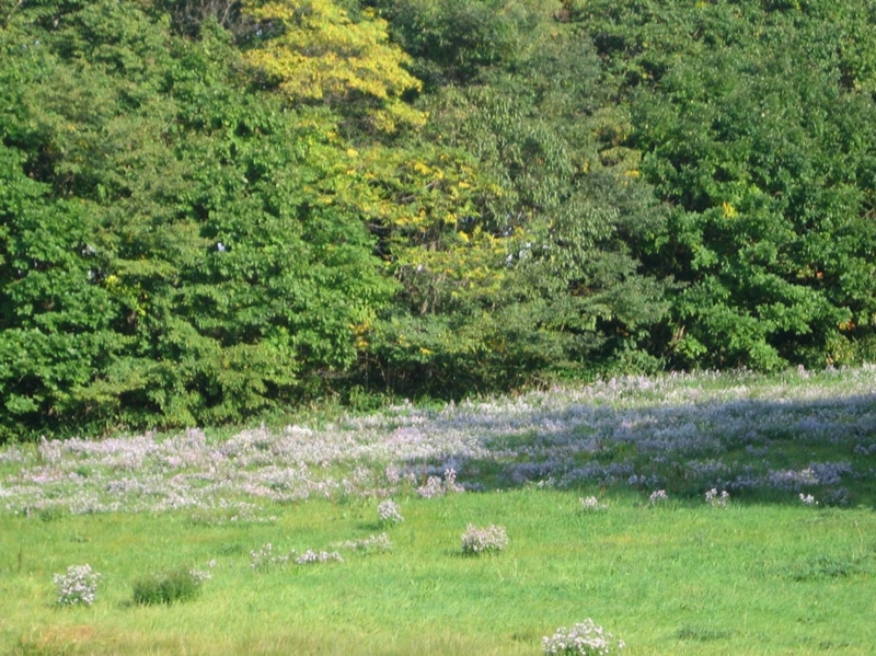 f:id:atarou:20111010191812j:image