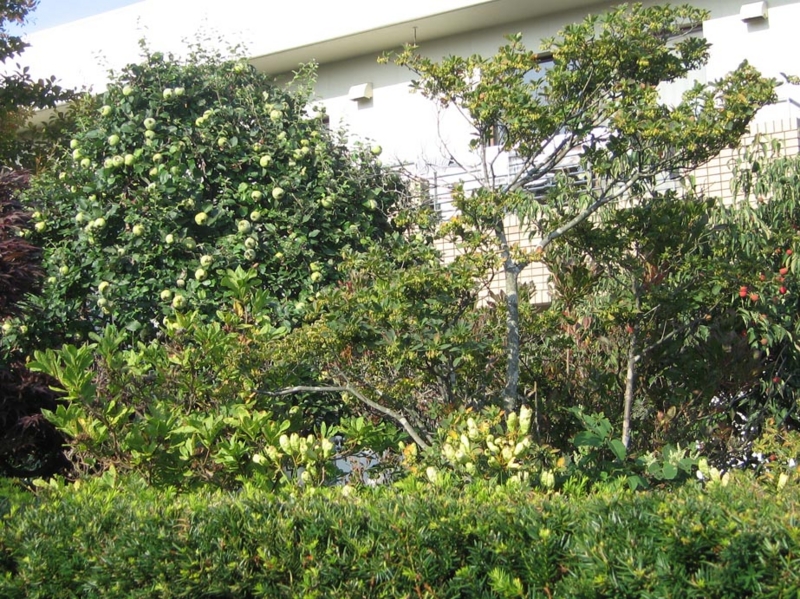 f:id:atarou:20111010192549j:image