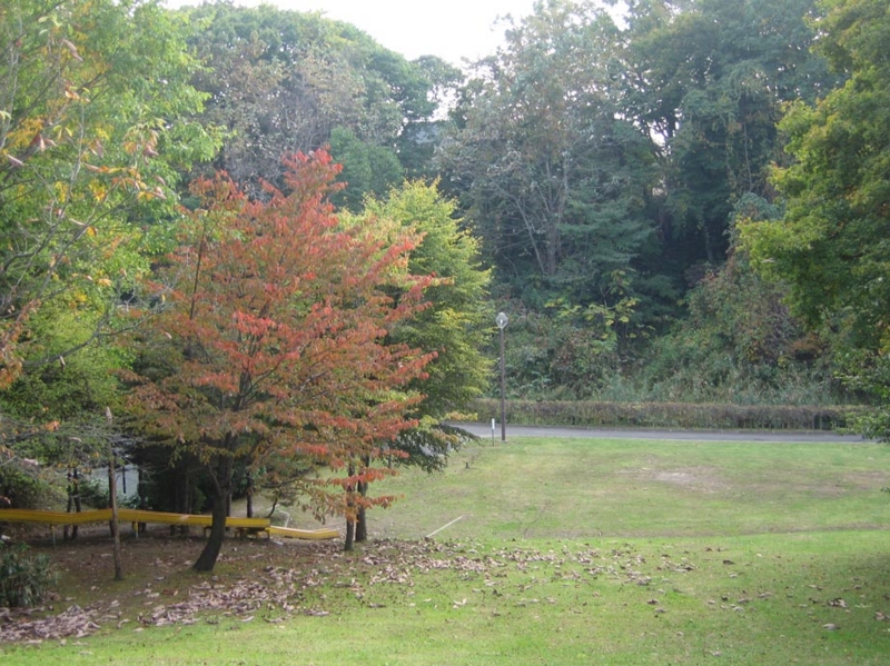 f:id:atarou:20111011071033j:image