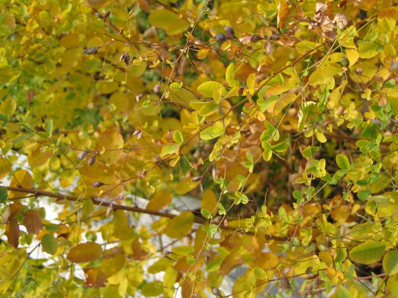 f:id:atarou:20111011071144j:image