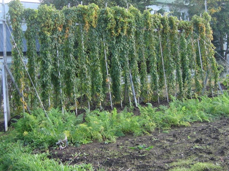 f:id:atarou:20111012063954j:image