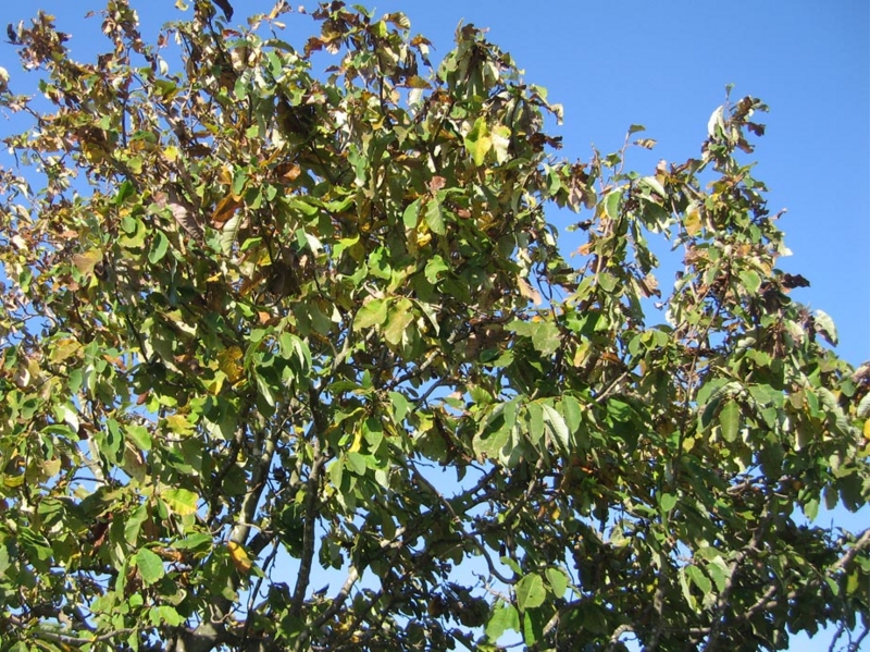 f:id:atarou:20111012064554j:image