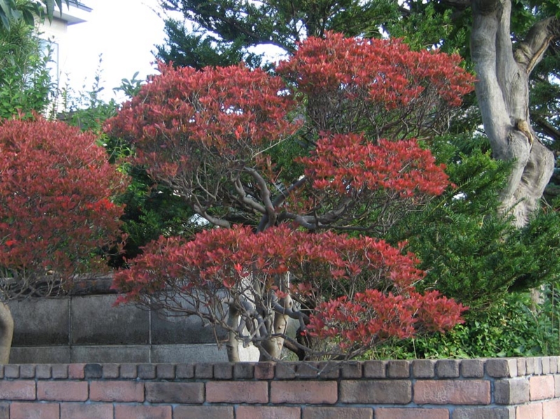 f:id:atarou:20111012064838j:image