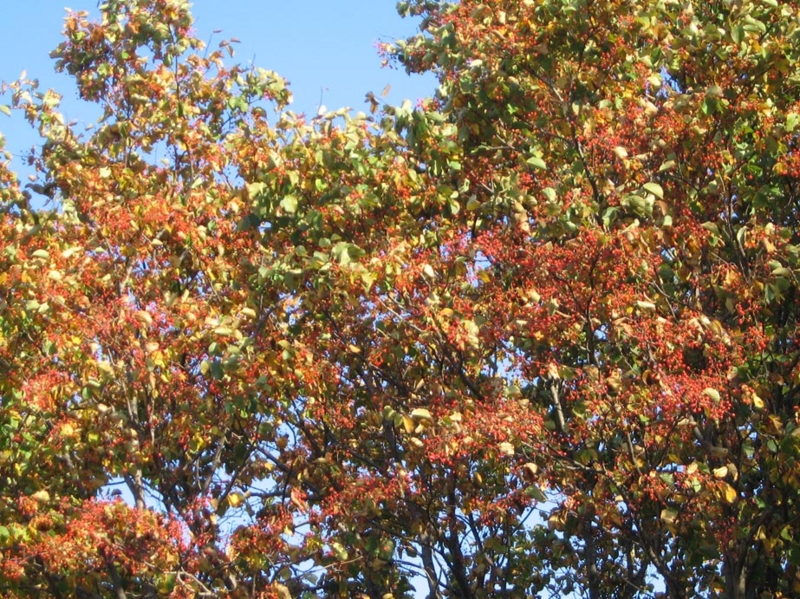 f:id:atarou:20111012070507j:image