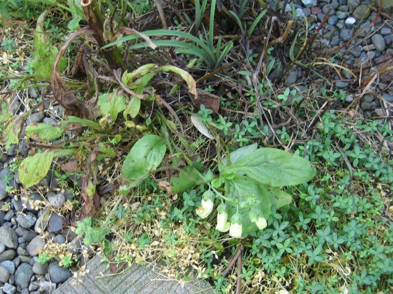 f:id:atarou:20111012203252j:image