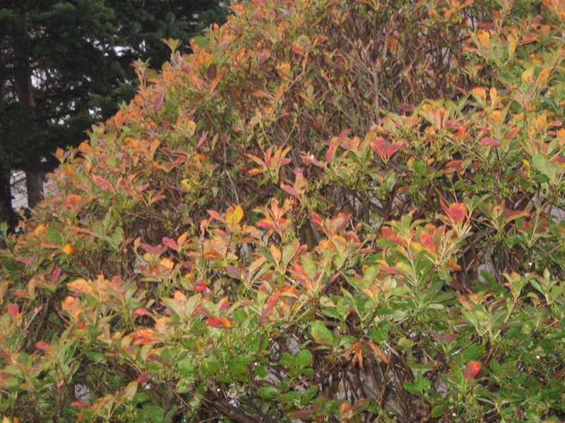 f:id:atarou:20111013065344j:image