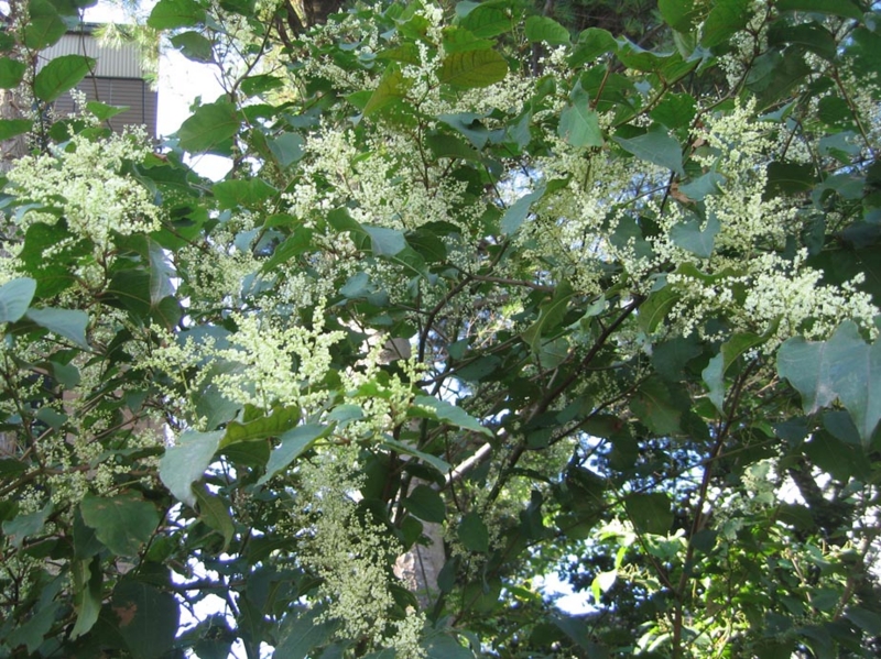 f:id:atarou:20111013192027j:image
