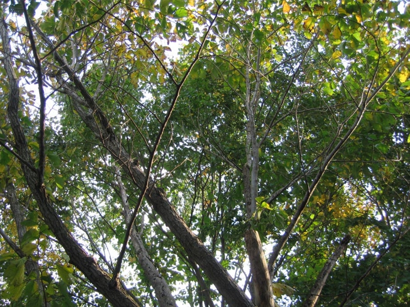 f:id:atarou:20111014055537j:image