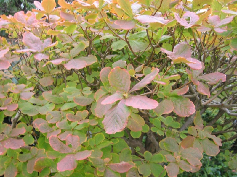 f:id:atarou:20111014070404j:image