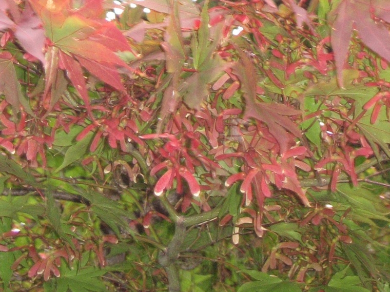 f:id:atarou:20111014180329j:image