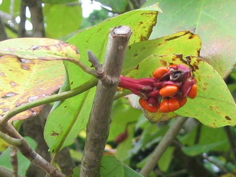 f:id:atarou:20111014181015j:image