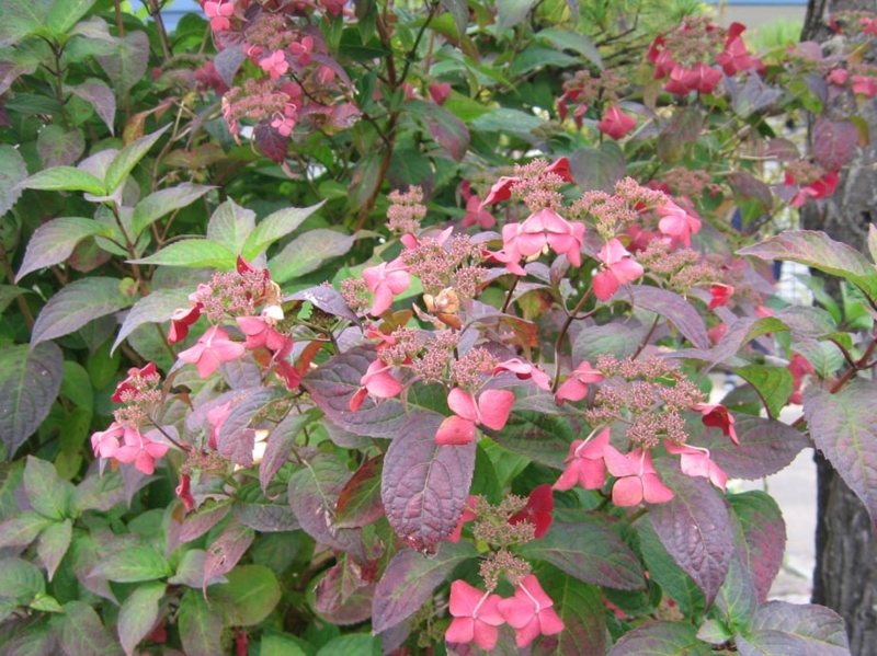 f:id:atarou:20111015052036j:image