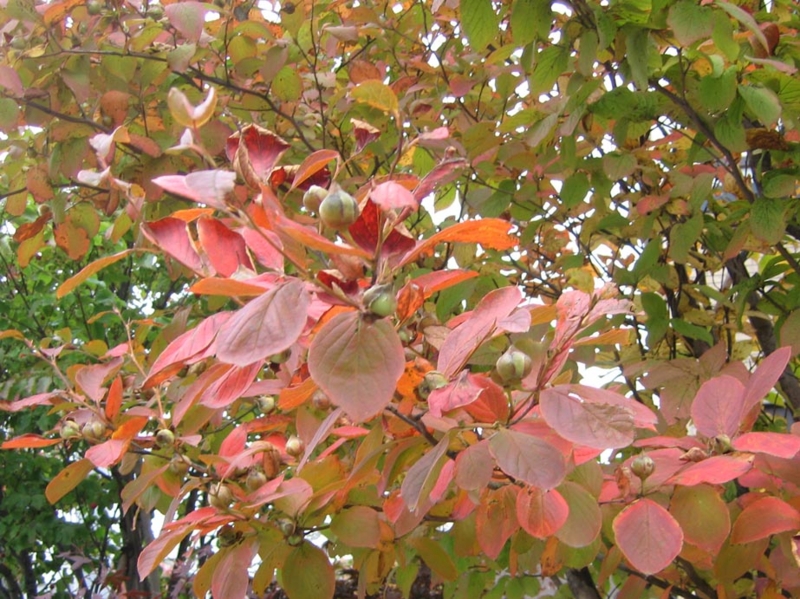 f:id:atarou:20111016064246j:image