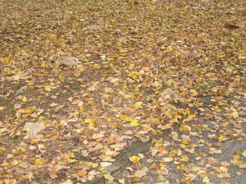 f:id:atarou:20111016064249j:image