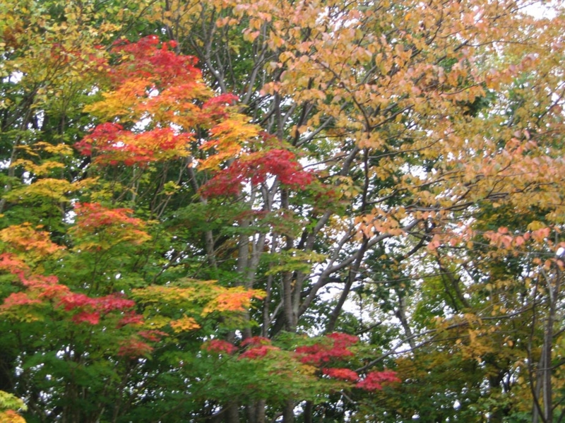 f:id:atarou:20111016065243j:image