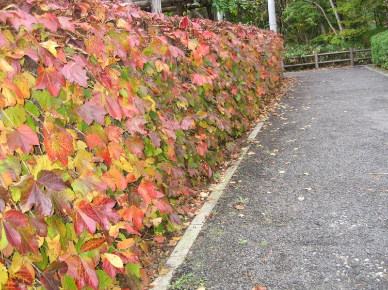 f:id:atarou:20111016065246j:image