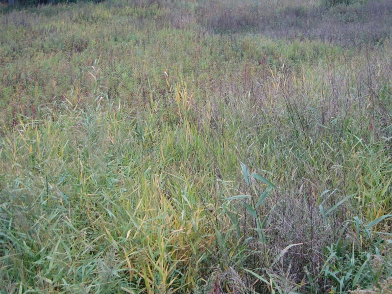 f:id:atarou:20111016071111j:image