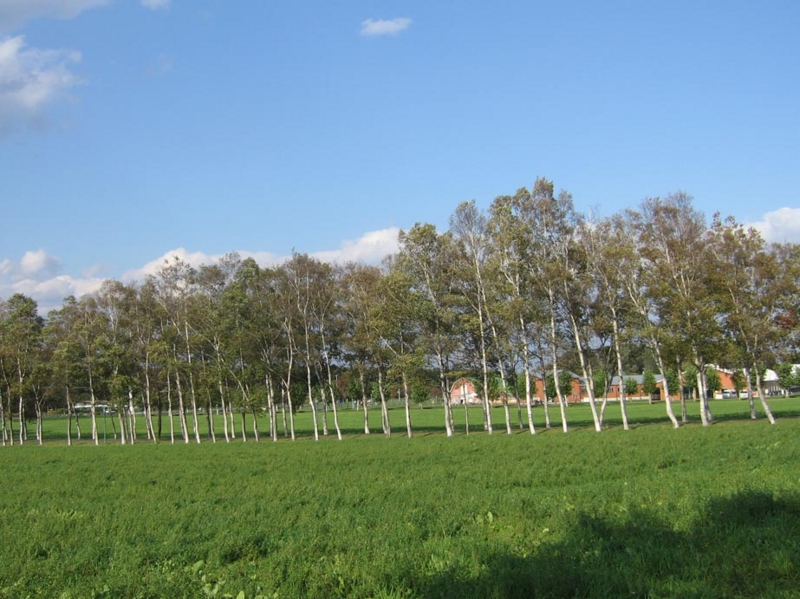 f:id:atarou:20111017064025j:image