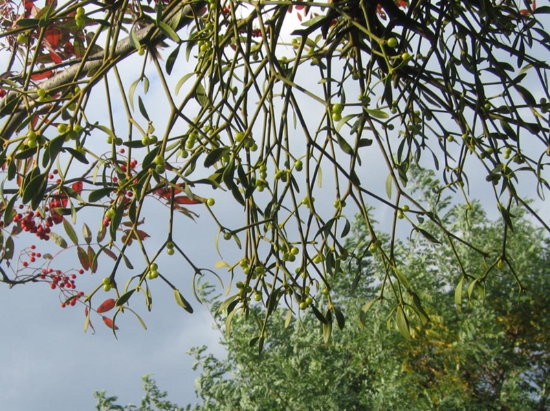 f:id:atarou:20111017064612j:image