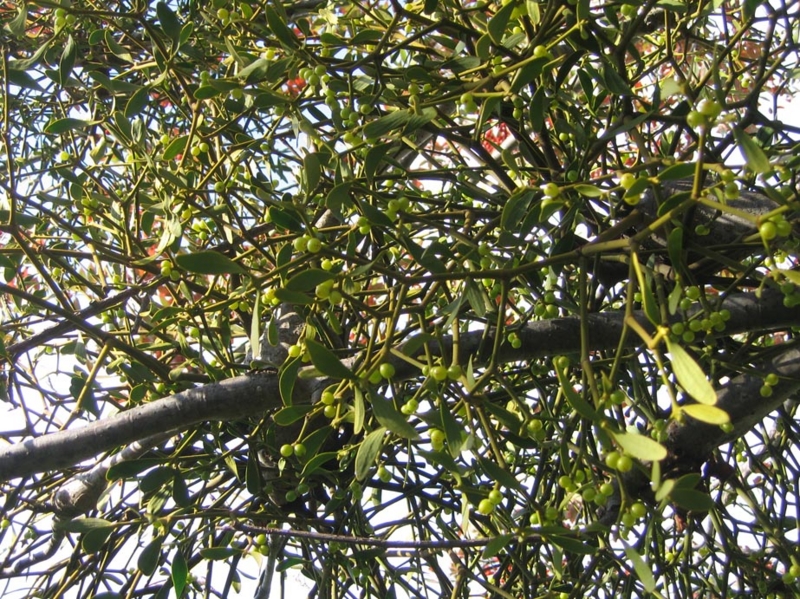 f:id:atarou:20111017064614j:image