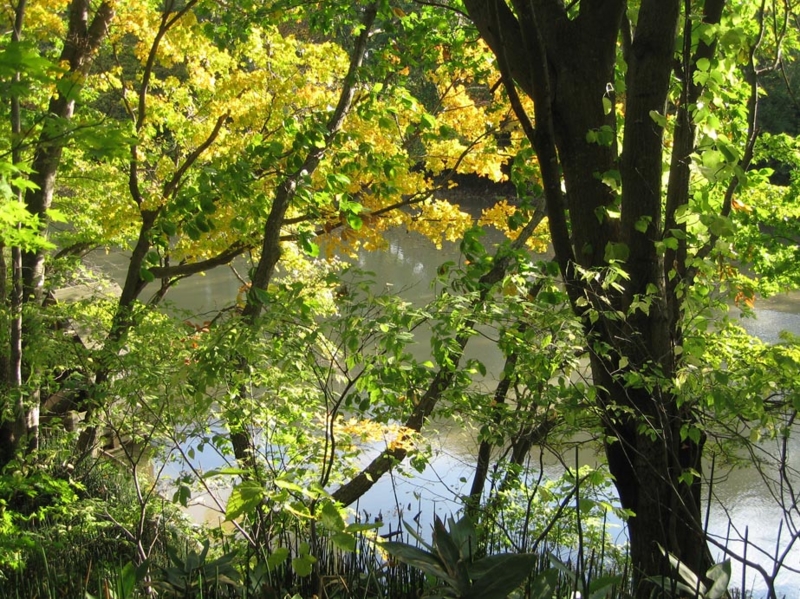 f:id:atarou:20111017070514j:image