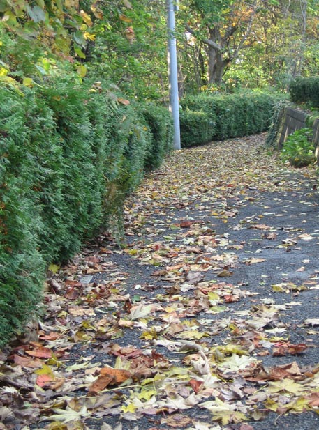 f:id:atarou:20111017071033j:image