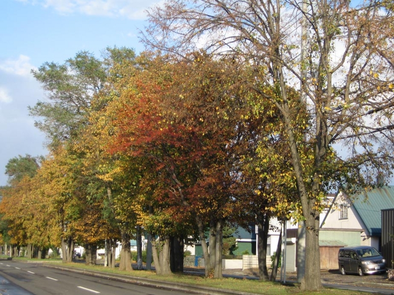 f:id:atarou:20111018071958j:image
