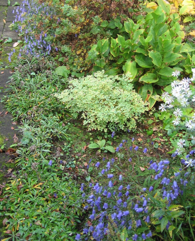 f:id:atarou:20111018172004j:image f:id:atarou:20111018172004j:image