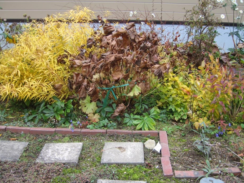 f:id:atarou:20111018172747j:image f:id:atarou:20111018172747j:image
