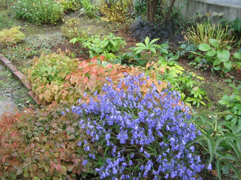 f:id:atarou:20111018172750j:image f:id:atarou:20111018172750j:image