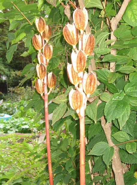 f:id:atarou:20111018173322j:image f:id:atarou:20111018173322j:image
