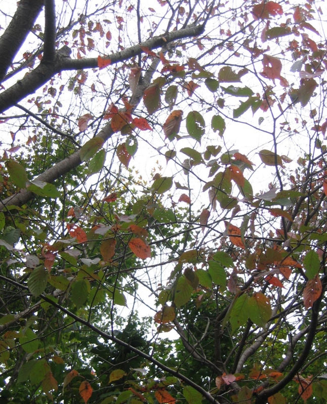 f:id:atarou:20111019062845j:image f:id:atarou:20111019062845j:image