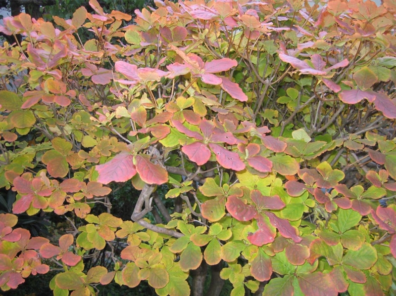 f:id:atarou:20111019063850j:image f:id:atarou:20111019063850j:image