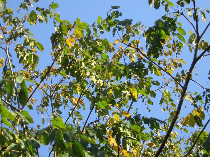 f:id:atarou:20111020063023j:image