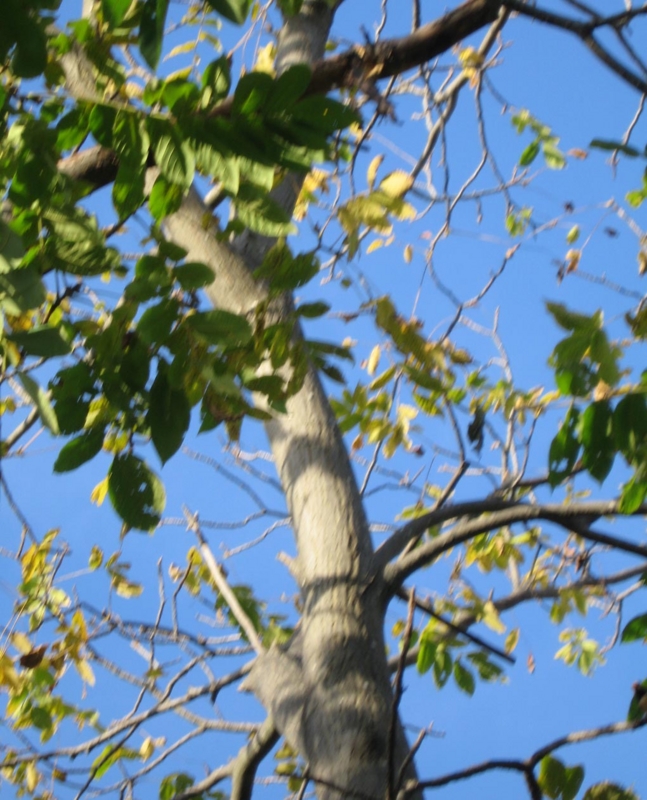 f:id:atarou:20111022062612j:image