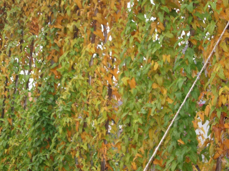 f:id:atarou:20111022194208j:image f:id:atarou:20111022194208j:image